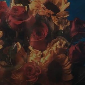 Meet your Posher, Tori